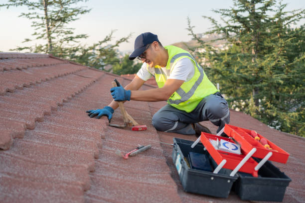 Best Local Roofing Companies  in Oglethorpe, GA