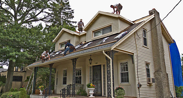 Best New Roof Installation  in Oglethorpe, GA