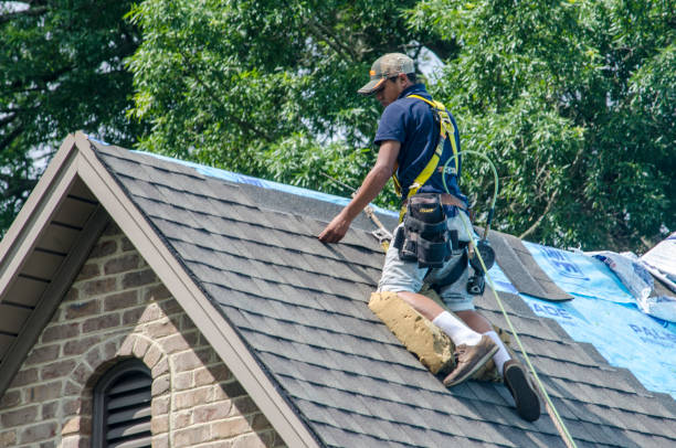 Best Roof Replacement Cost  in Oglethorpe, GA
